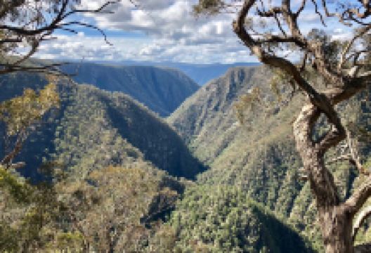 Oxley Wild Rivers National Park景点图片