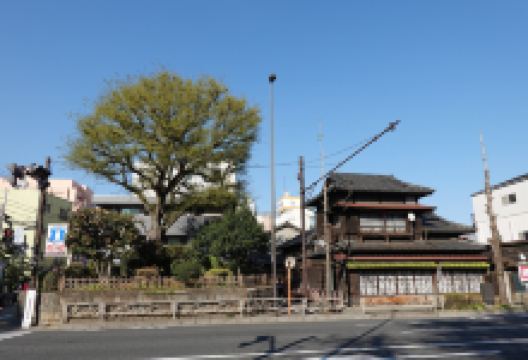 志村一里塚景点图片