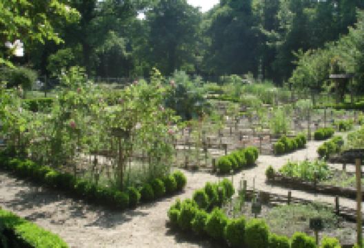 Chevalerie de Sace - Archaeological Site & Botanical Gardens景点图片