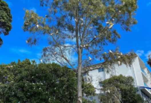 Lake Eden景点图片