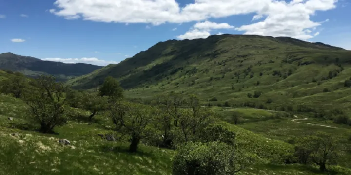 Glen Finglas Visitor Gateway & Estate