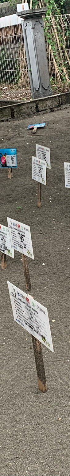 Kurma Asih Sea Turtle Conservation Center-巴厘岛