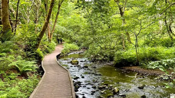 Fairy Glen