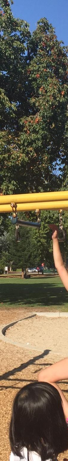 林科纳达公园-帕罗奥图