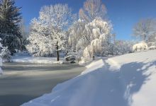 Newton Cemetery & Arboretum景点图片