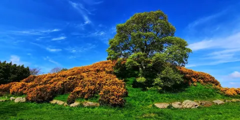 Dowth Passage Tomb