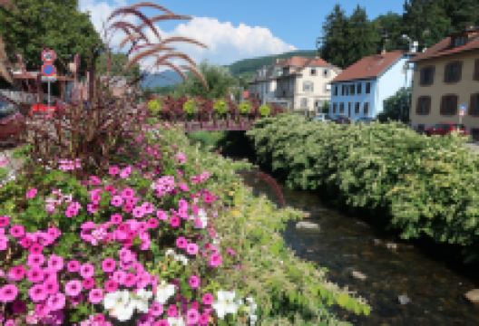 Eglise St. Leger景点图片