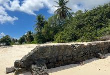 Anse Aux Pins Beach景点图片