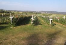 Harper's U-Pick Raspberries购物图片