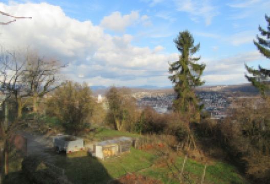 Ottilienkirche景点图片