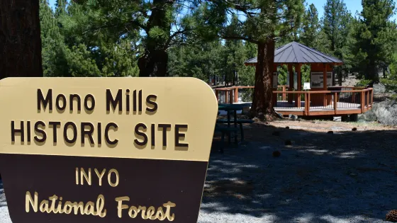 Mono Mills Historic Sit
