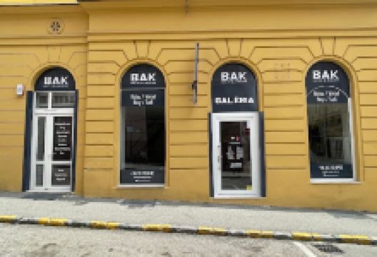 Bak Antik & Modern Galéria购物图片