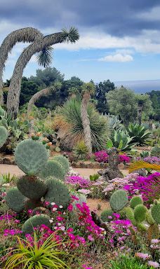 Jardí Botànic Tropical Paratge Pinya de Rosa-布拉内斯