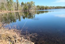 Baldpate Pond State Park景点图片