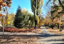 Park Miejski景点图片