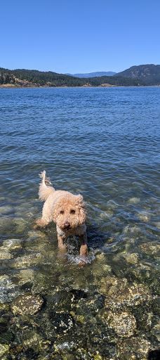 Rebecca Spit Marine Provincial Park-奎德拉岛