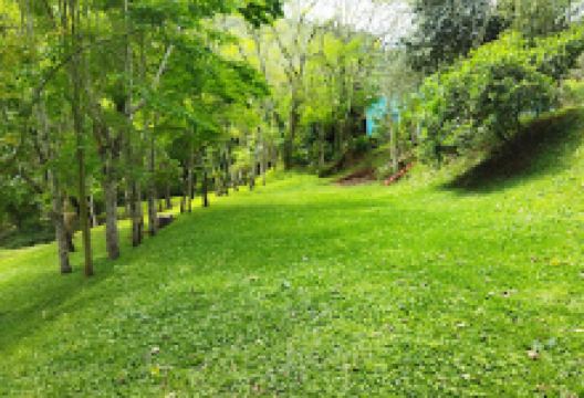 Sociedade Amigos de Fragosos景点图片