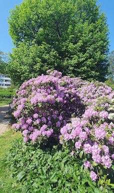 Nerotal-Anlagen-威斯巴登