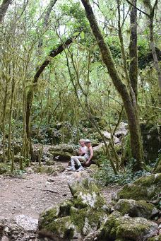 Wood Païolive-罗纳-阿尔卑斯