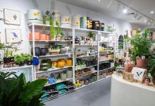 The Green Vine Plants购物图片
