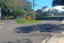 Rinconada Park景点图片