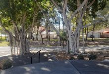 Pimpama Community Park景点图片