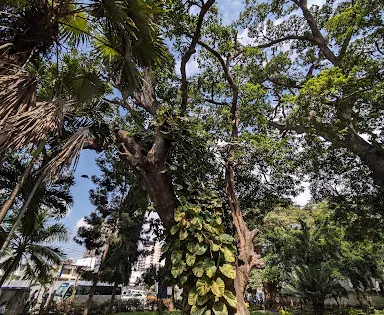 Uhuru Gardens