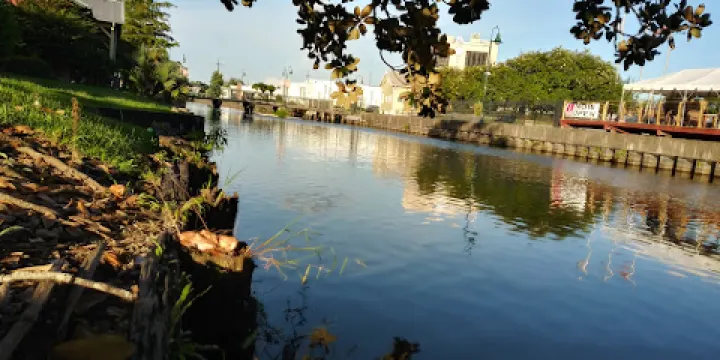 Bayou Terrebonne Waterlife Museum