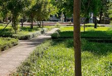 Vườn hoa Cửa Nam景点图片