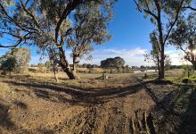 Glenrowan I69 Bushland Reserve景点图片