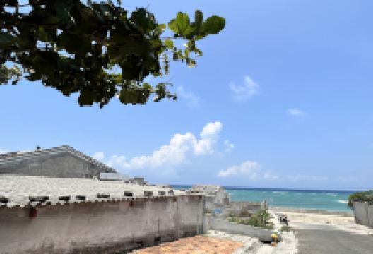 Con hẻm dốc Hometown Cha Cha Cha景点图片