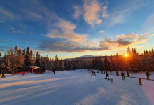 Are Skiduthyrning购物图片