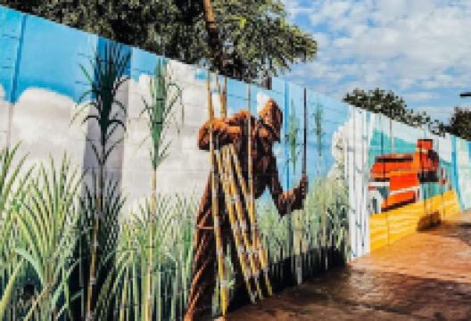 Parador Fotográfico Esperanza景点图片