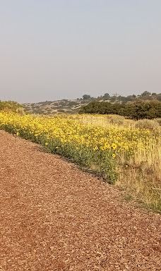 Dimple Dell Regional Park-山迪