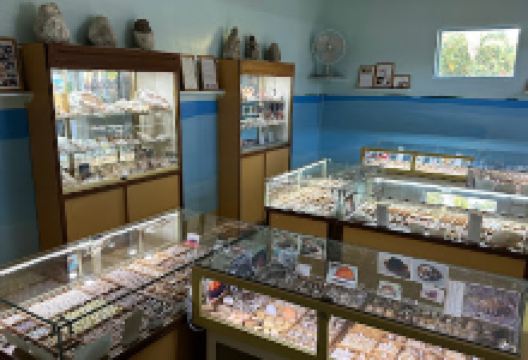 Motu Trésor景点图片