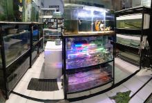 Bakhros Flowerhorn (Alat" Aquarium)购物图片
