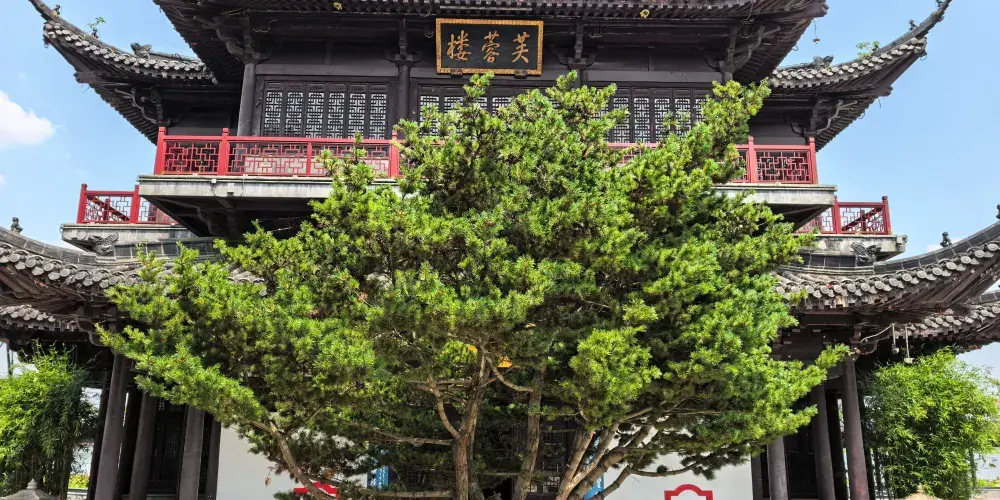 永安旅遊