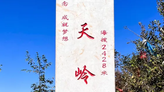 摩天嶺