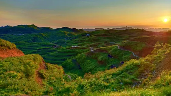 叫雞坡
