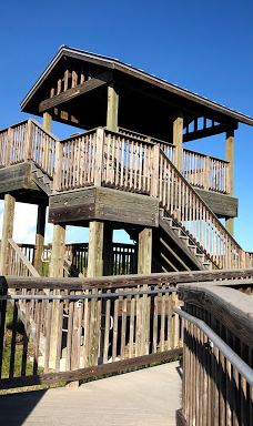 Tigertail Beach-马可岛