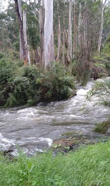 Maroondah Reservoir Park-希尔斯维尔