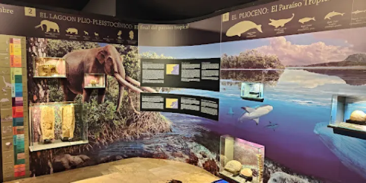 Museo Arqueologico de Guardamar