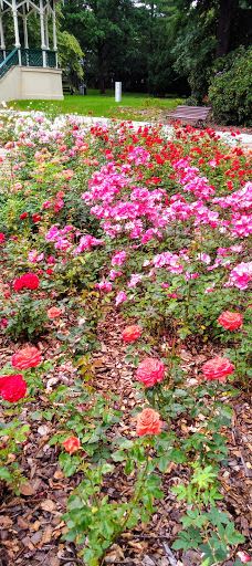 Městský park Chomutov-霍穆托夫