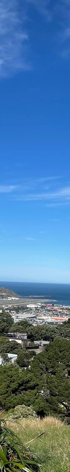 维多利亚山-惠灵顿