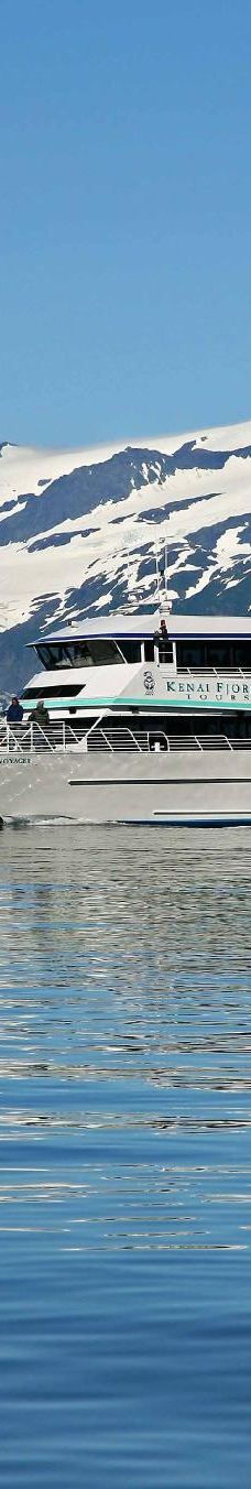 Kenai Fjords Tours-西沃德