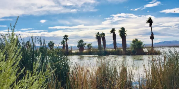 Havasu National Wildlife Refuge