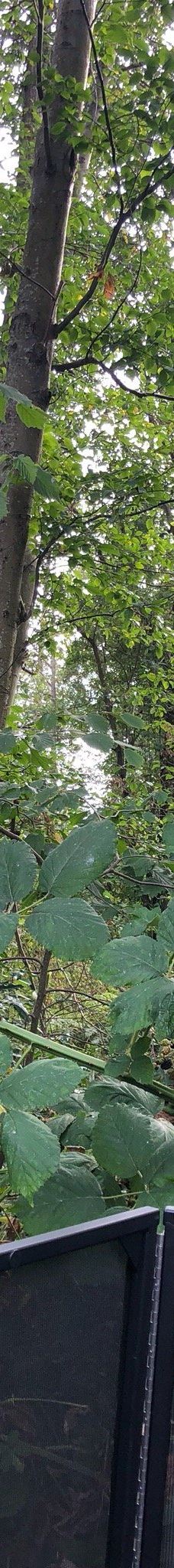 Bay View State Park-Bay View