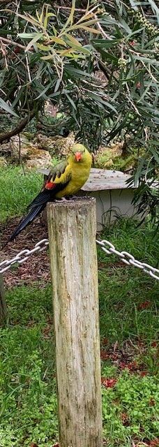 Bunbury Wildlife Park-South Bunbury