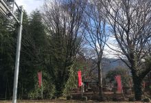 小川城址景点图片