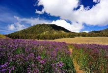 Ranu Kumbolo Lake景点图片
